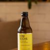 Kombucha com Maracujá